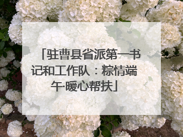 驻曹县省派第一书记和工作队：粽情端午·暖心帮扶