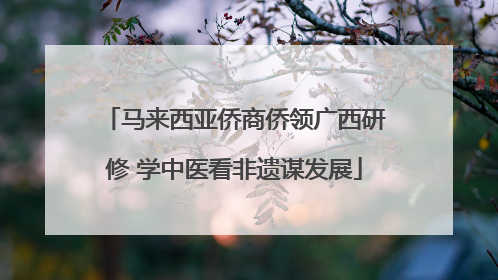 马来西亚侨商侨领广西研修 学中医看非遗谋发展
