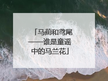 马蔺和鸢尾——谁是童谣中的马兰花