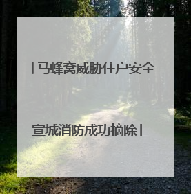 马蜂窝威胁住户安全 宣城消防成功摘除