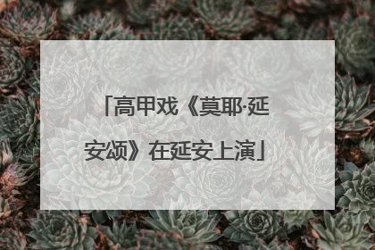 高甲戏《莫耶·延安颂》在延安上演