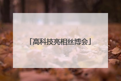 高科技亮相丝博会