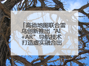 高德地图联合雷鸟创新推出“AI+AR”导航技术 打造虚实融合出行新体验