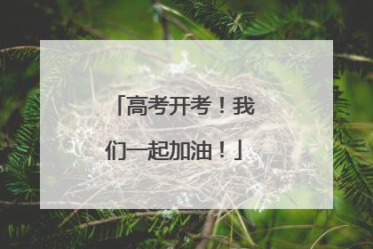 高考开考！我们一起加油！