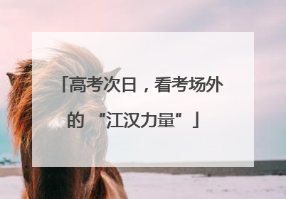高考次日，看考场外的 “江汉力量”