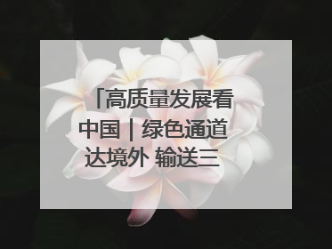高质量发展看中国｜绿色通道达境外 输送三江“一口鲜”