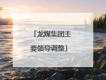 龙煤集团主要领导调整