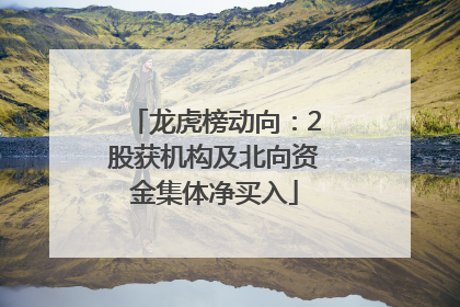 龙虎榜动向：2股获机构及北向资金集体净买入