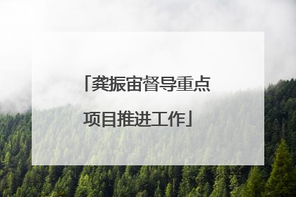 龚振宙督导重点项目推进工作