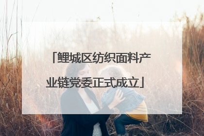 鲤城区纺织面料产业链党委正式成立
