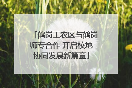 鹤岗工农区与鹤岗师专合作 开启校地协同发展新篇章