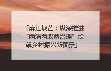 麻江坝芒：纵深推进“两清两改两治理”绘就乡村振兴新图景