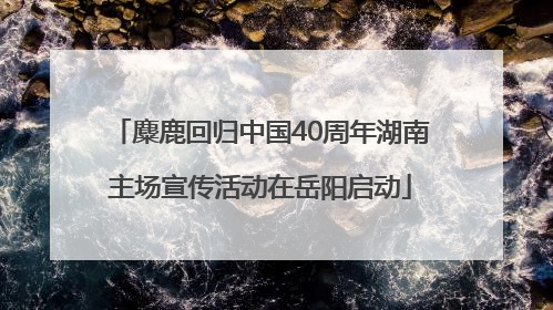 麋鹿回归中国40周年湖南主场宣传活动在岳阳启动