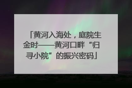 黄河入海处，庭院生金时——黄河口畔“归寻小院”的振兴密码