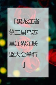 黑龙江省第二届乌苏里江界江联盟大会举行