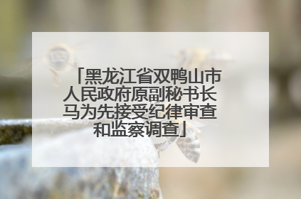 黑龙江省双鸭山市人民政府原副秘书长马为先接受纪律审查和监察调查