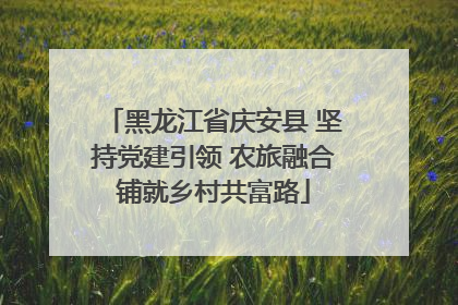 黑龙江省庆安县 坚持党建引领 农旅融合铺就乡村共富路