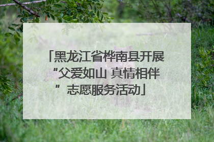 黑龙江省桦南县开展“父爱如山 真情相伴”志愿服务活动