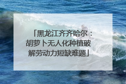 黑龙江齐齐哈尔：胡萝卜无人化种植破解劳动力短缺难题