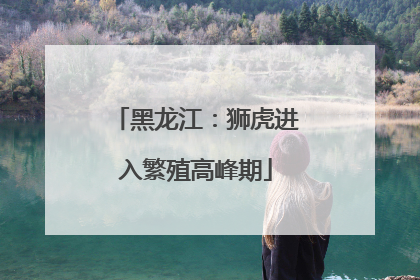 黑龙江：狮虎进入繁殖高峰期