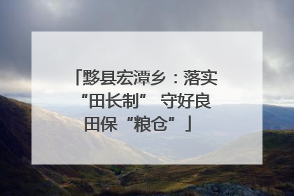 黟县宏潭乡：落实“田长制” 守好良田保“粮仓”
