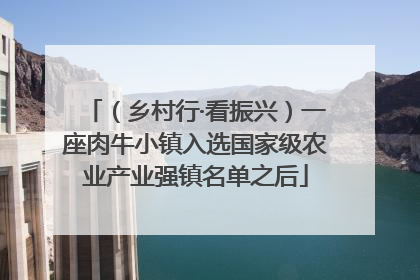 （乡村行·看振兴）一座肉牛小镇入选国家级农业产业强镇名单之后