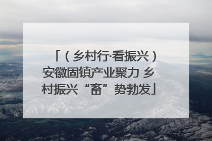 （乡村行·看振兴）安徽固镇产业聚力 乡村振兴“畜”势勃发