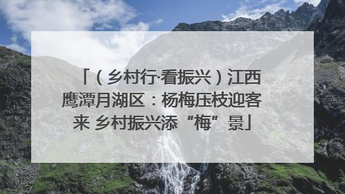 （乡村行·看振兴）江西鹰潭月湖区：杨梅压枝迎客来 乡村振兴添“梅”景