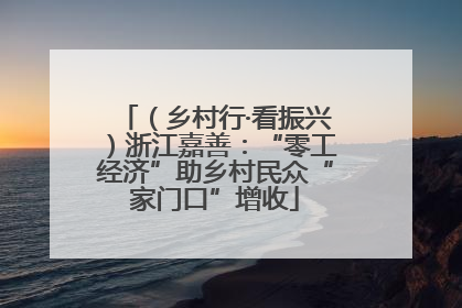 （乡村行·看振兴）浙江嘉善：“零工经济”助乡村民众“家门口”增收