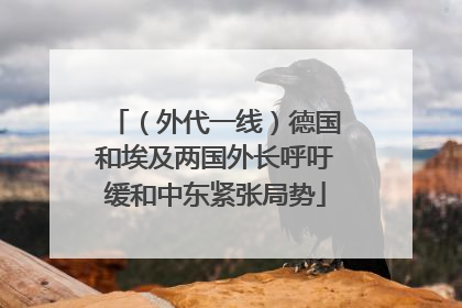 （外代一线）德国和埃及两国外长呼吁缓和中东紧张局势