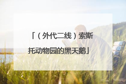 （外代二线）索斯托动物园的黑天鹅
