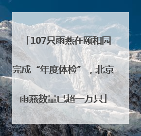 107只雨燕在颐和园完成“年度体检”，北京雨燕数量已超一万只