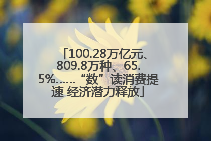 100.28万亿元、809.8万种、65.5%……“数”读消费提速 经济潜力释放
