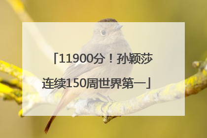 11900分！孙颖莎连续150周世界第一