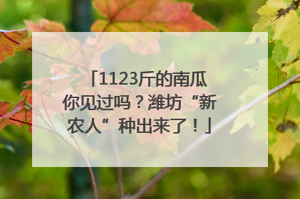 1123斤的南瓜你见过吗？潍坊“新农人”种出来了！