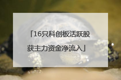 16只科创板活跃股获主力资金净流入