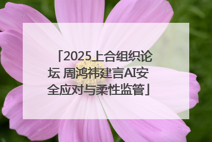 2025上合组织论坛 周鸿祎建言AI安全应对与柔性监管