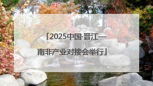 2025中国·晋江—南非产业对接会举行
