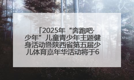 2025年“奔跑吧·少年”儿童青少年主题健身活动暨陕西省第五届少儿体育嘉年华活动将于6月14日正式举办