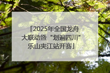 2025年全国龙舟大联动暨“划遍四川”乐山夹江站开赛