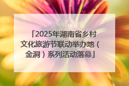 2025年湖南省乡村文化旅游节联动举办地（金洞）系列活动落幕