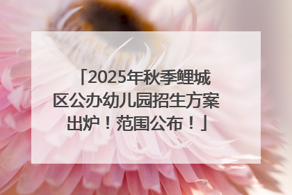 2025年秋季鲤城区公办幼儿园招生方案出炉！范围公布！