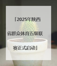 2025年陕西省群众体育五级联赛正式启动