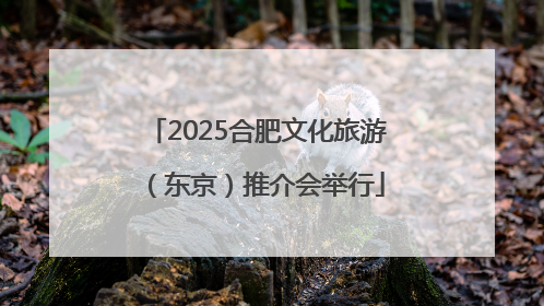 2025合肥文化旅游（东京）推介会举行
