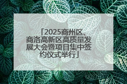 2025商州区、商洛高新区高质量发展大会暨项目集中签约仪式举行