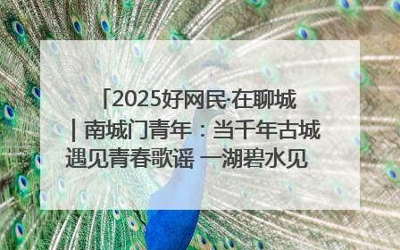 2025好网民·在聊城｜南城门青年：当千年古城遇见青春歌谣 一湖碧水见证的“聊城式浪漫”
