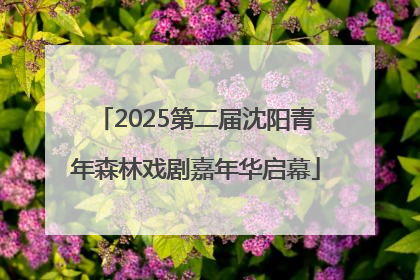 2025第二届沈阳青年森林戏剧嘉年华启幕