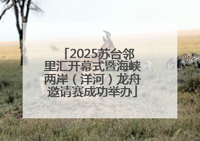 2025苏台邻里汇开幕式暨海峡两岸（洋河）龙舟邀请赛成功举办