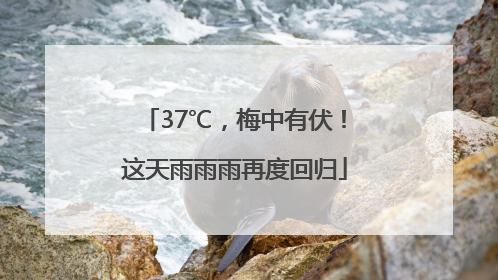 37℃，梅中有伏！这天雨雨雨再度回归