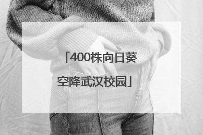 400株向日葵空降武汉校园